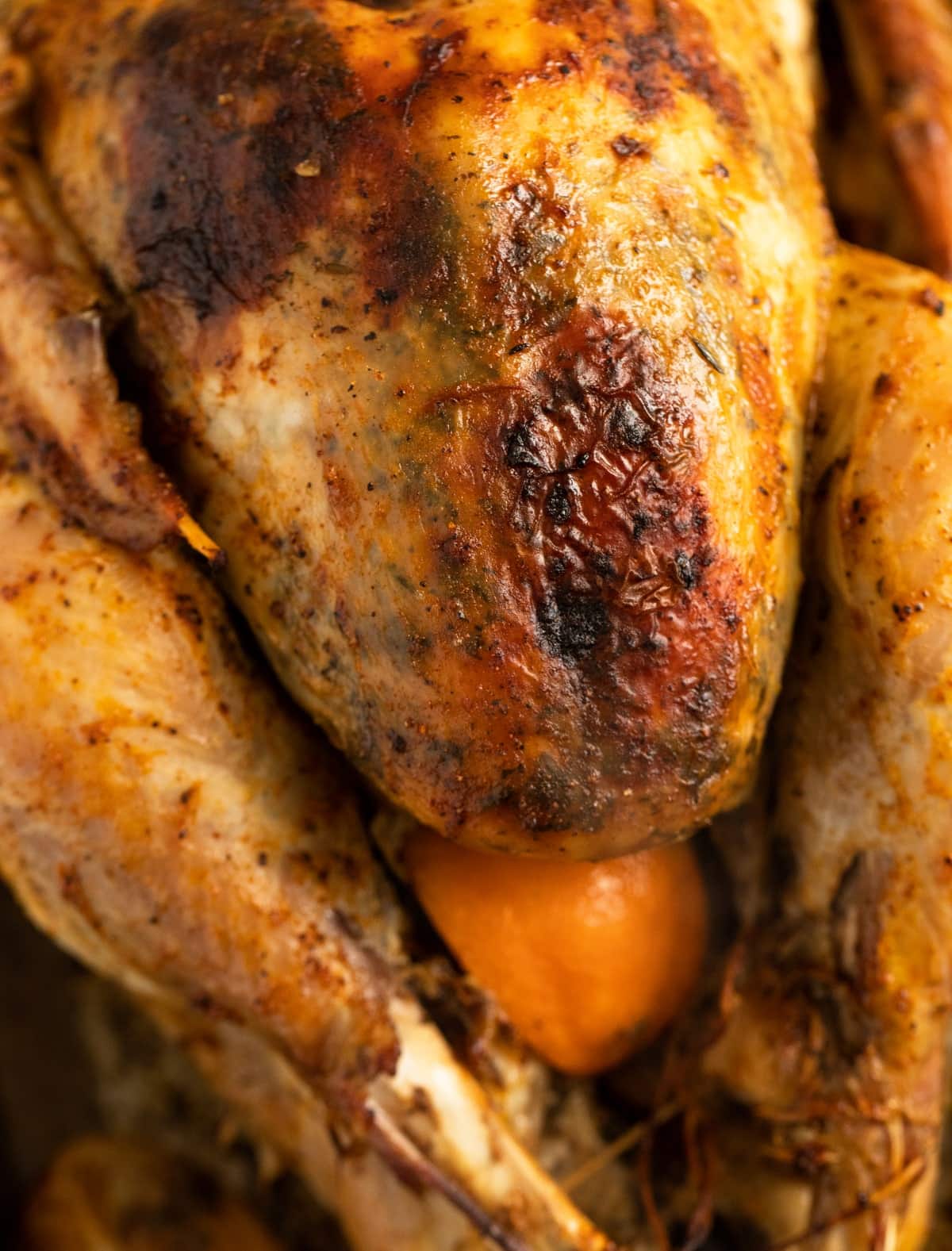 close up golden broiled turkey with a clementine sticking in the cavity.