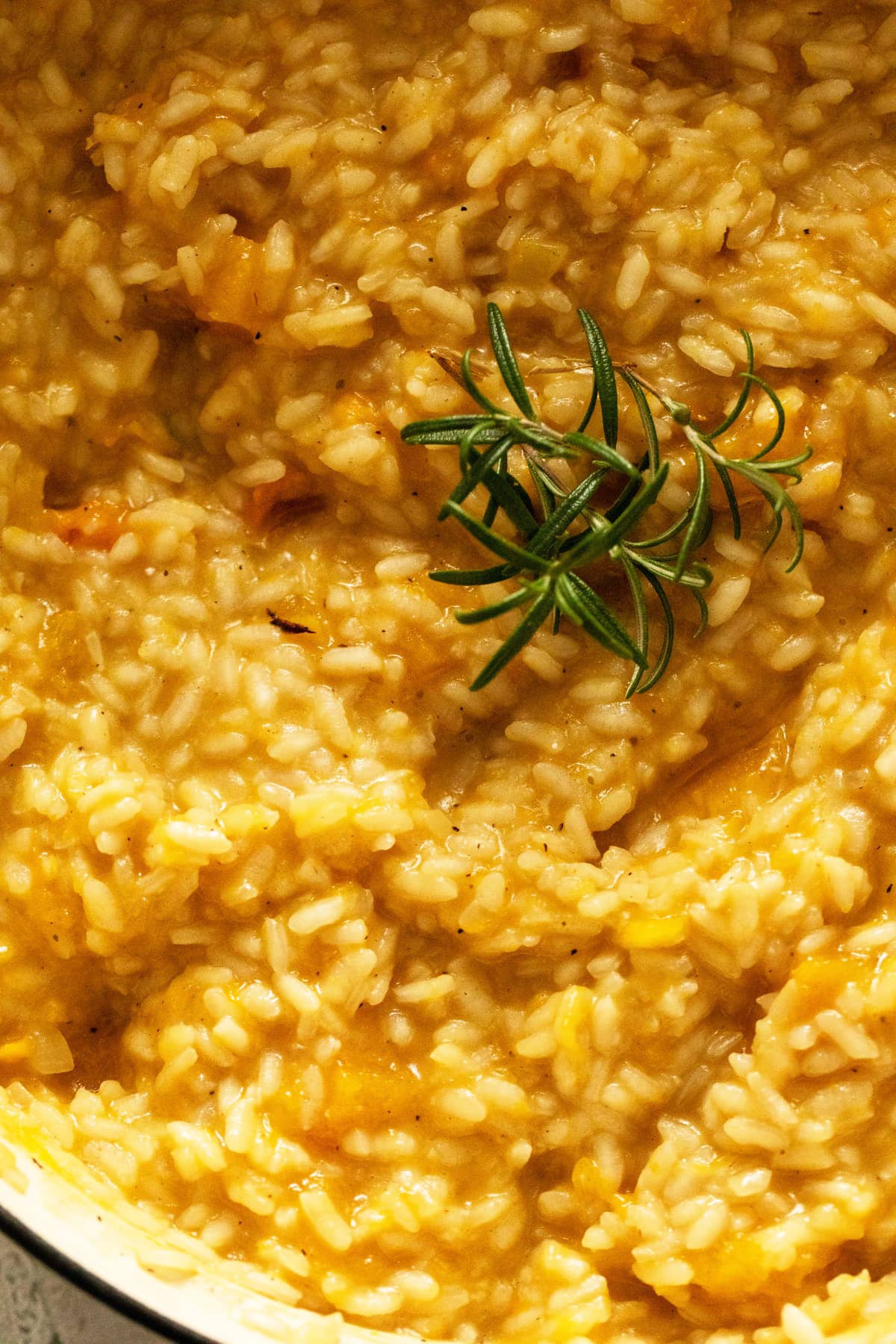 close up creamy and orange pumpkin risotto with rosemary on top.