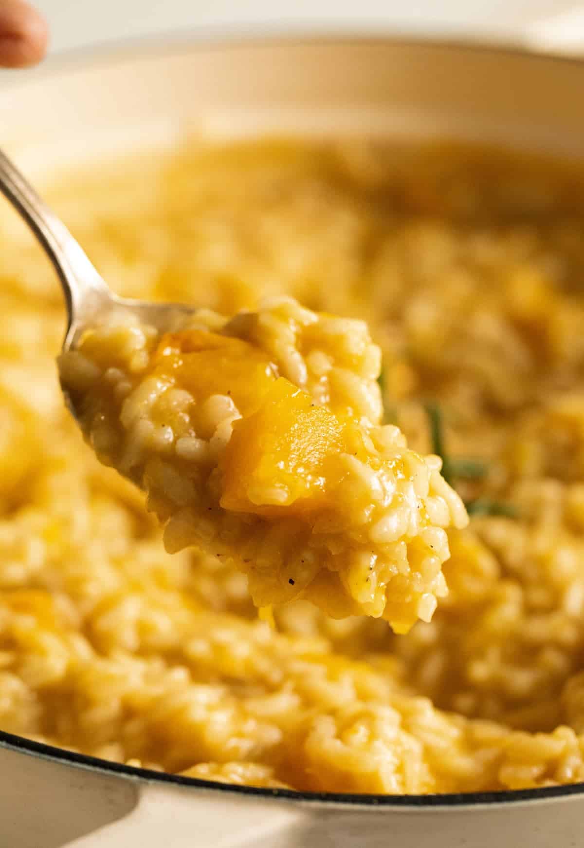 spoon lifting risotto with pieces of pumpkin in it.