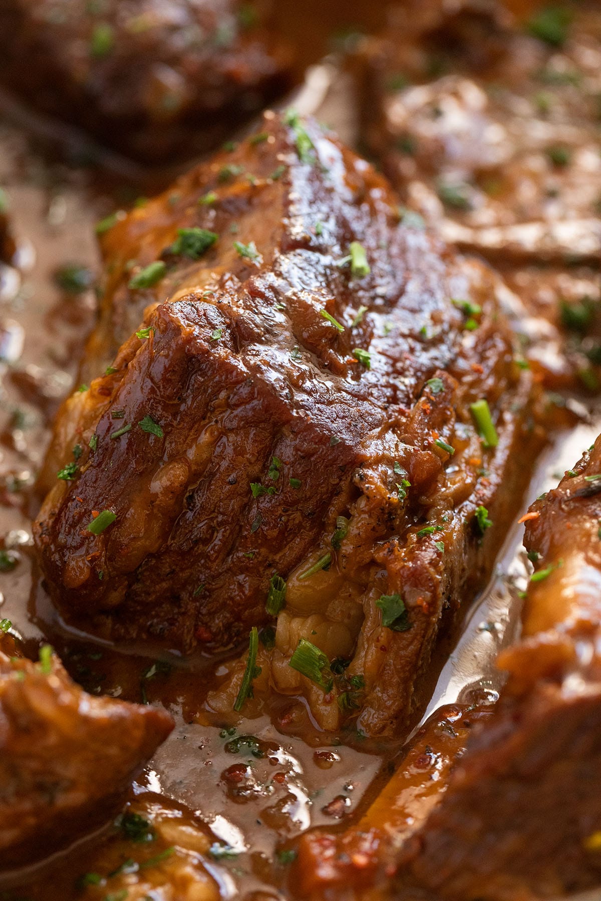 close up of a square and large beef short rib in beer sauce.