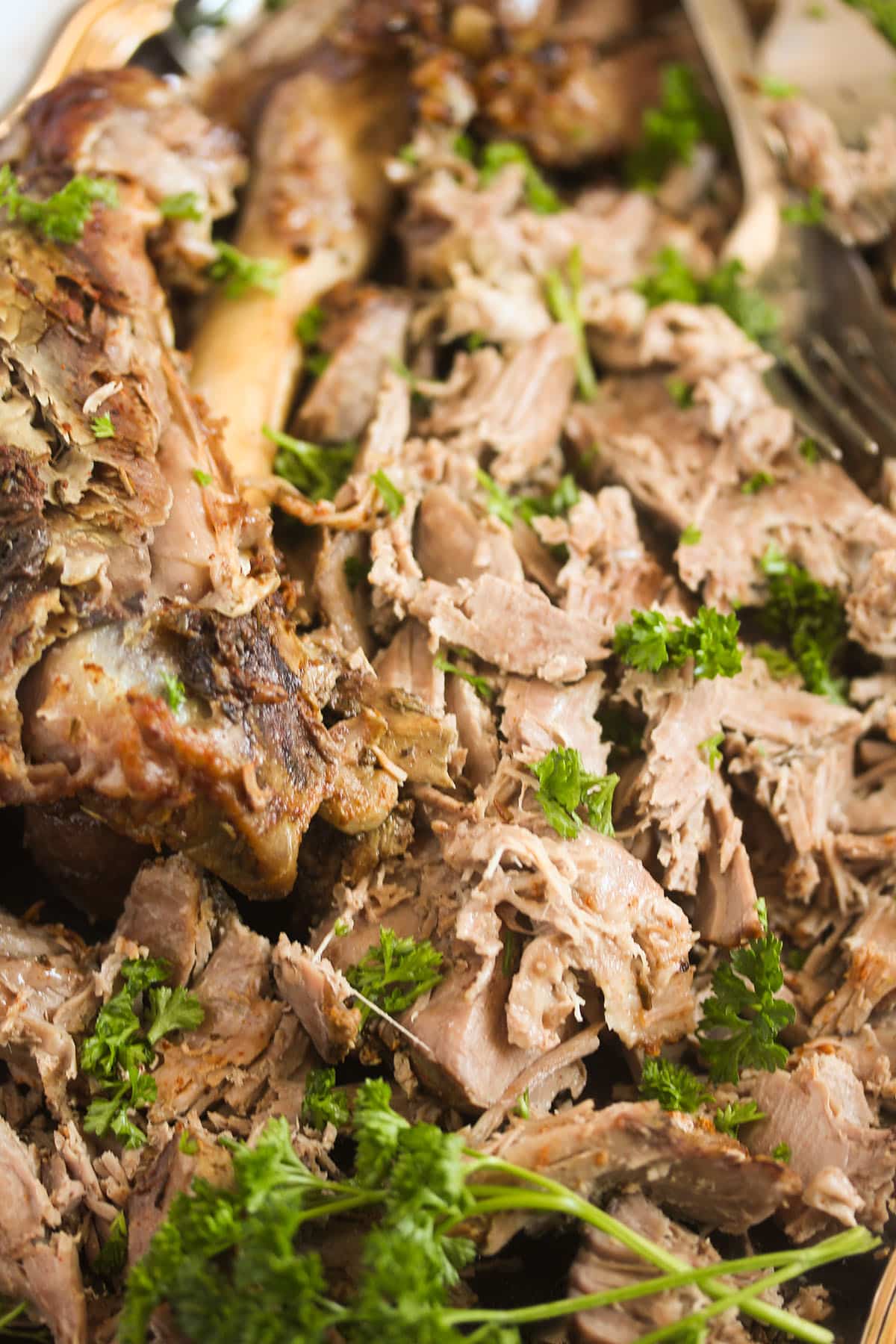 close up shredded pieces of lamb.