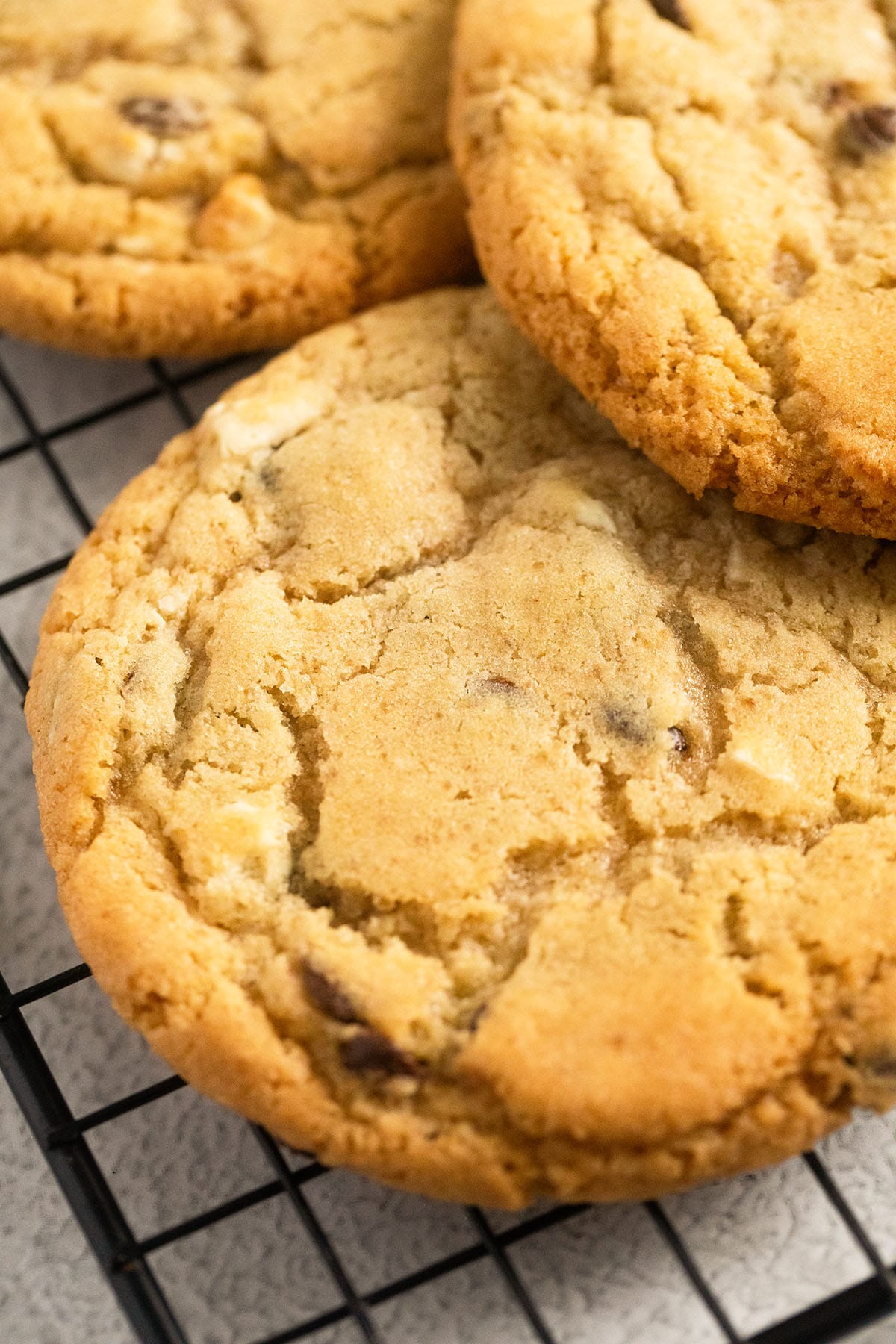 close up of one large golden cookie.