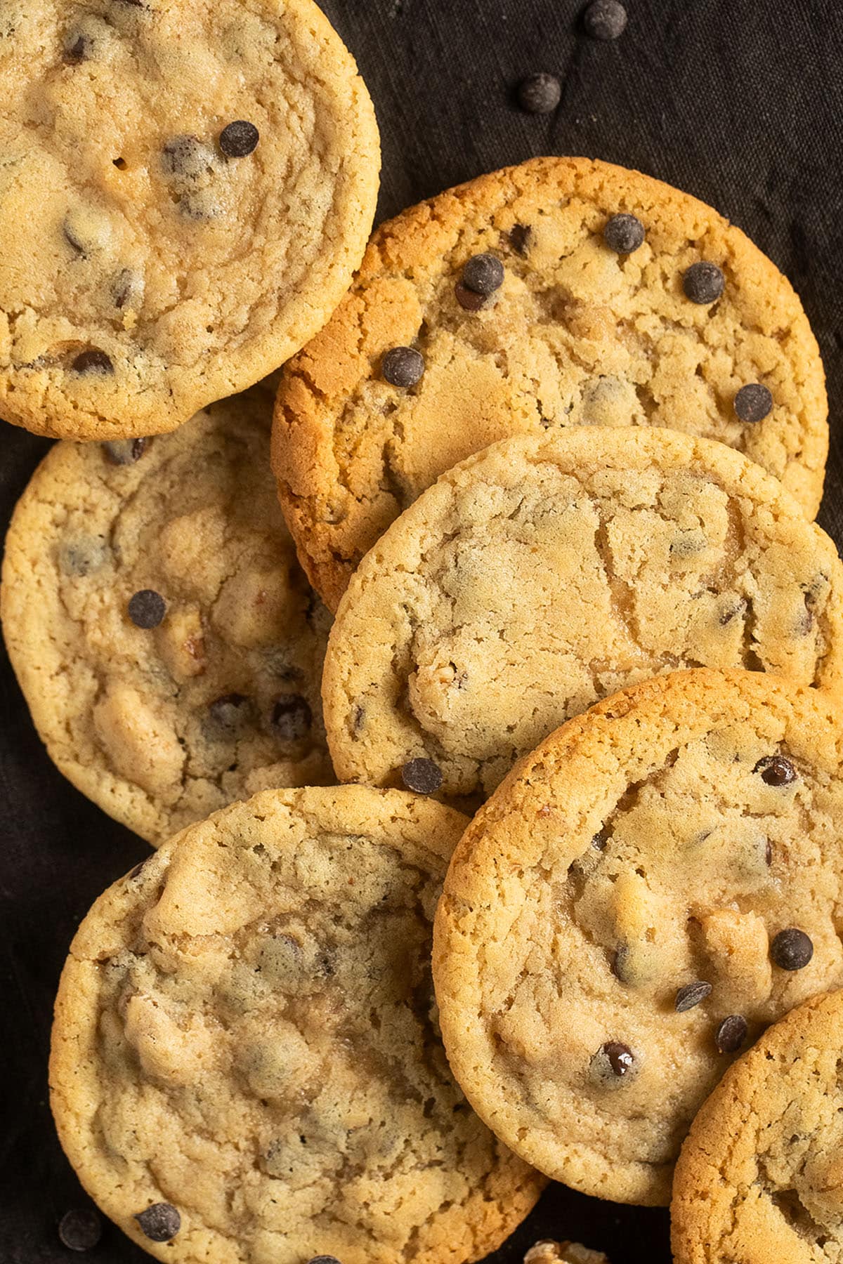 many chocolate chip cookies with pecans on a black board.