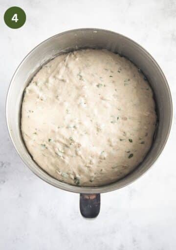 rise bread dough in a bowl.