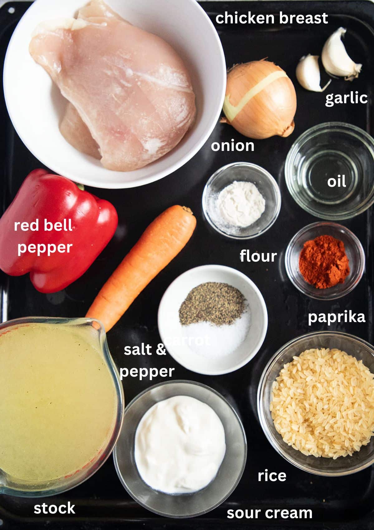 labeled ingredients for making soup with chicken breast, rice, peppers, and paprika.