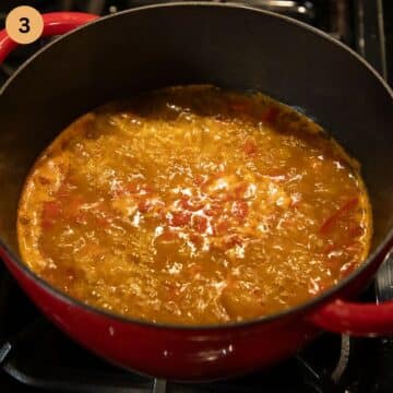 bubbling chicken paprika soup in a large pot.