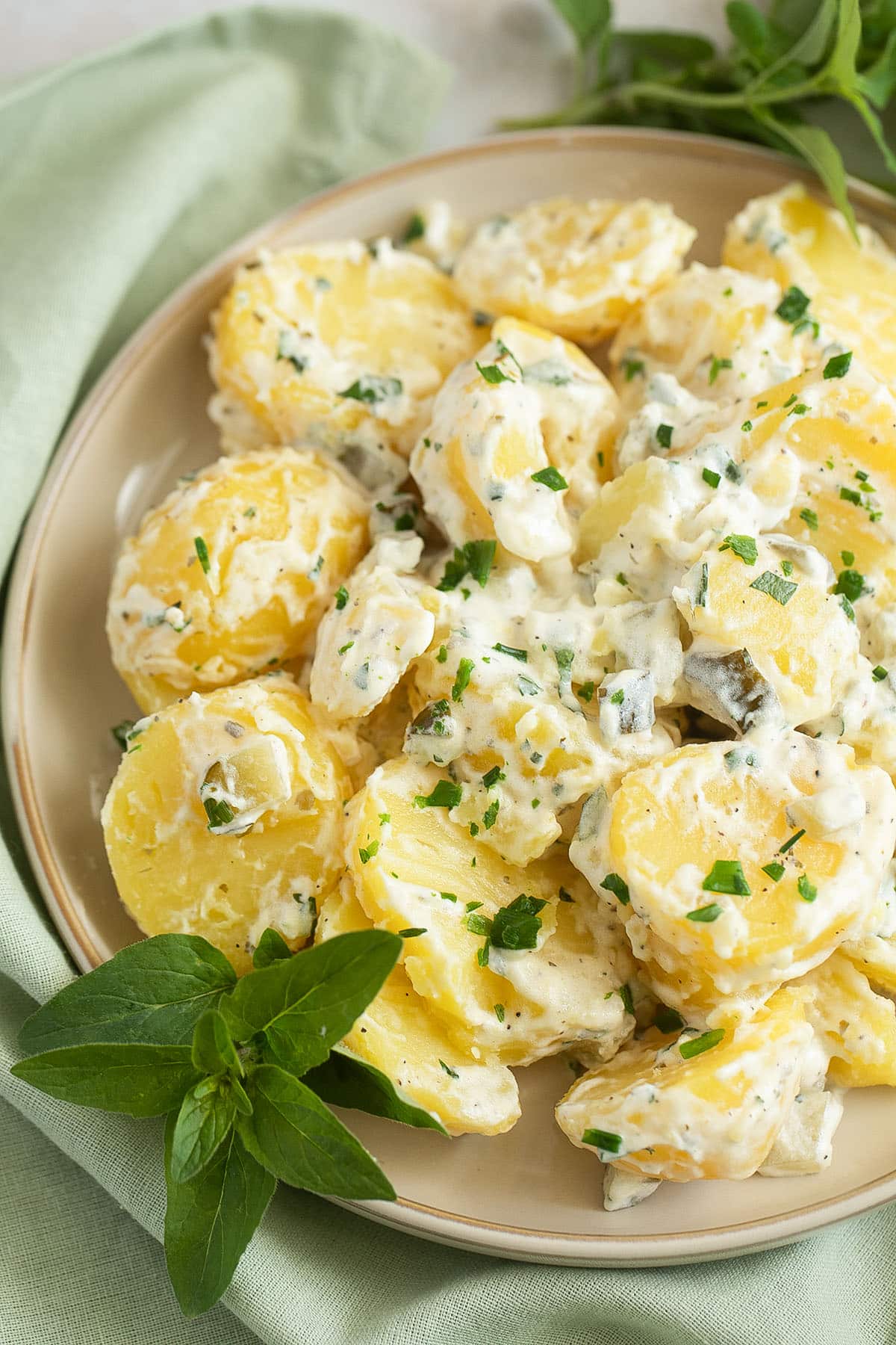 creamy sour cream potatoes on a plate on the table.