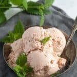 pinterest image with the title strawberry rhubarb ice cream.