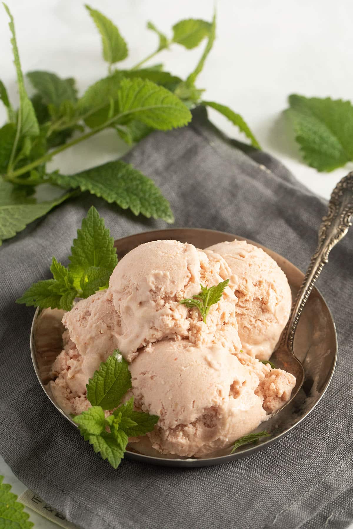rhubarb and strawberry ice cream scoops on a small plate, many mint leaves around it.