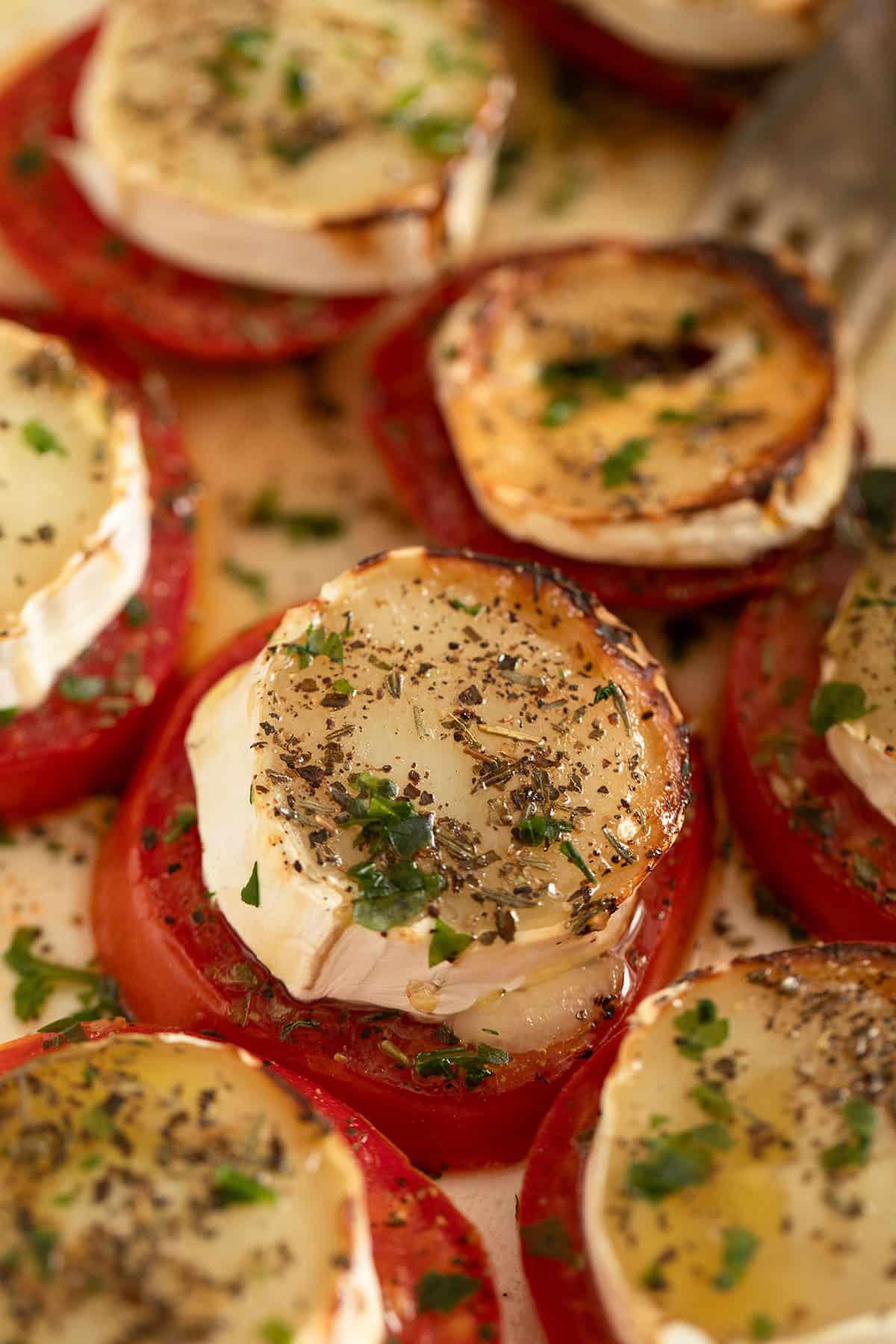 slices of roasted tomatoes, topped with goat cheese rounds and dried herbs.