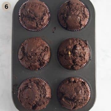 baked cocoa chocolate muffins with pumpkin puree in a tin.