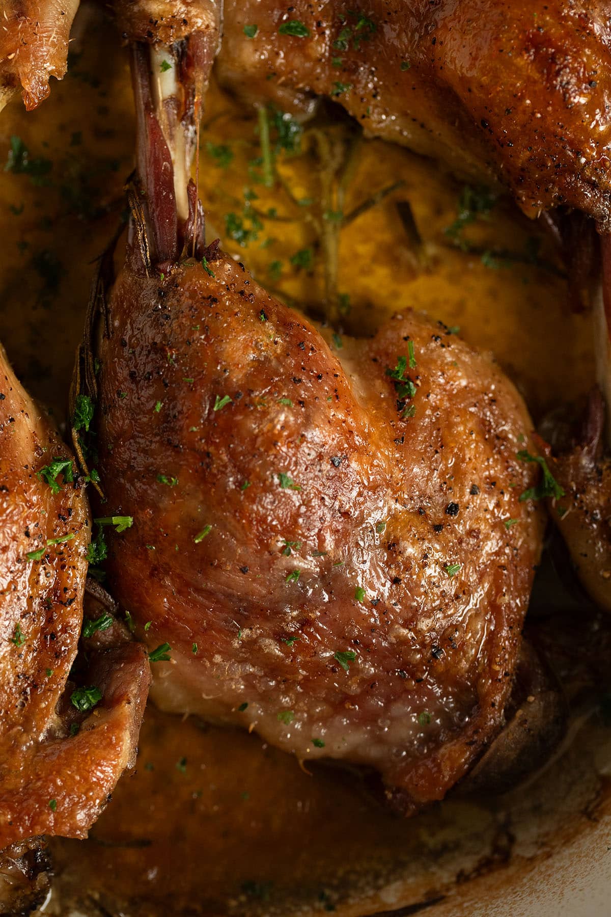 one very crispy skin, fall-off-the-bone tender duck leg.