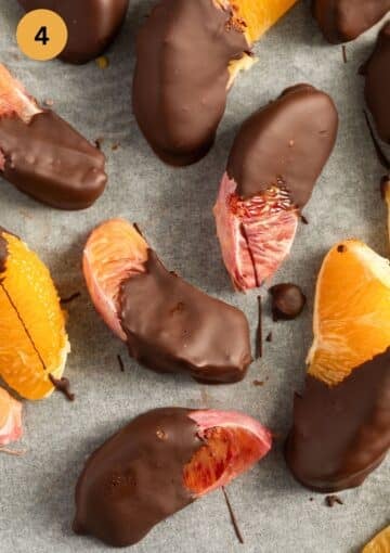 blood orange and orange slices dipped in chocolate setting on a a baking sheet.