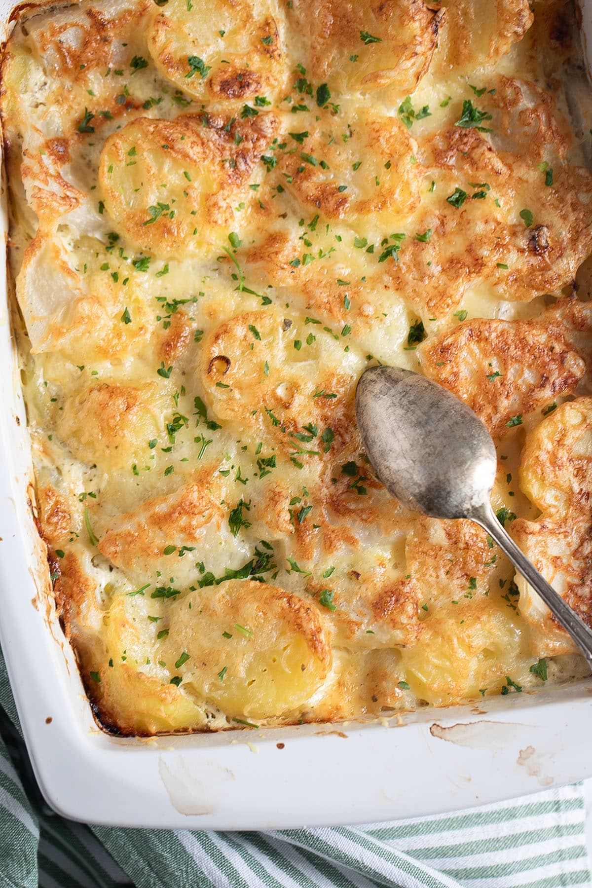 golden brown kohlrabi and potato bake or casserole in a large baking dish.