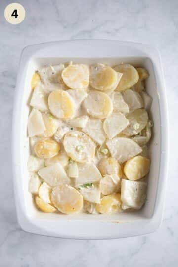 assembling potato kohlrabi gratin in a casserole dish.