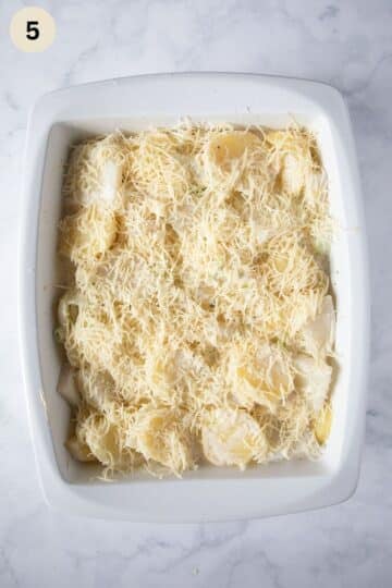unbaked gratin with potatoes and kohlrabi sprinkled with cheese.