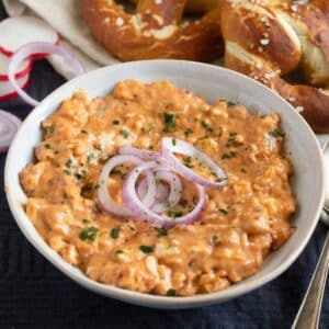 german obatzda recipe with red onions on top in a small bowl.